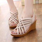 Feminine Fish Mouth Hollow High Heels, Foreign Trande Shoes For Women, Balance Heel-RV500 - Image 5