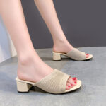 Korean style Flyknit Outerwear one-strap Fashion Women’s Sandals, Box heel-RV1303 - Image 3