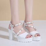 Korean Style One-Line Buckle Fish Mouth Platform Women’s Shoes, Box heel-RV1009