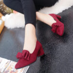 Fashionable Pointed Toe Thick Heel High Heel Women’s Shoes, Style Shoes-RV2418