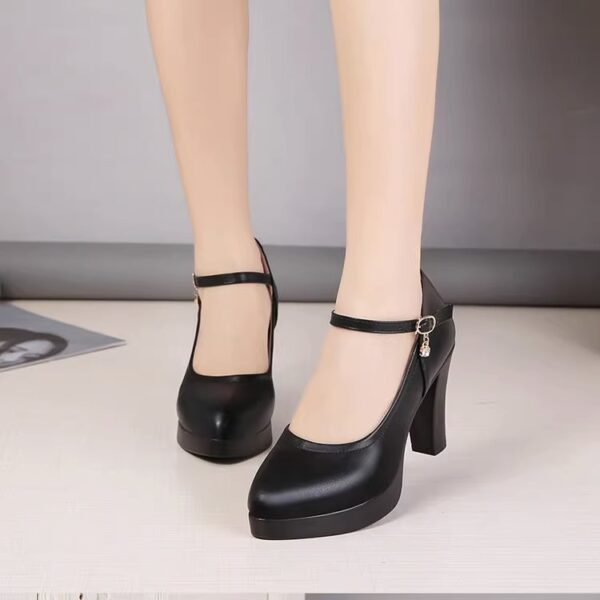 Black pointed high heels thick heel women’s work shoes, Style shoes-RV2482