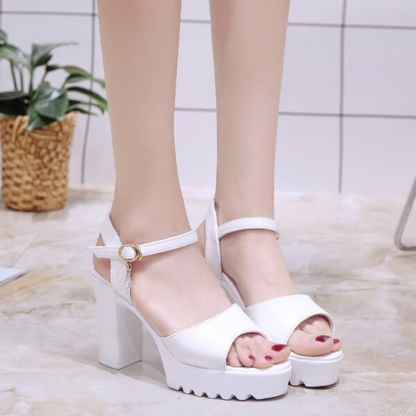 Fish Toat Sandals, All-match Super High Heel Women’s Shoes, Box Heel-RV1403