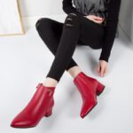 Pointed Toe Thick Heel Inner Motorcycle Boots For Women, Boot Shoes-WR115 - Image 2