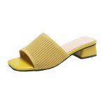 Korean Style Fly Woven Slippers for Women, Box Heel-RV1428 - Image 2