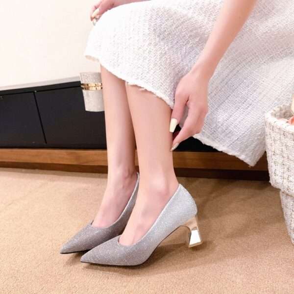 Fashionable and comfortable pointed toe chunky heel women’s shoes, Box Heel – RV1535