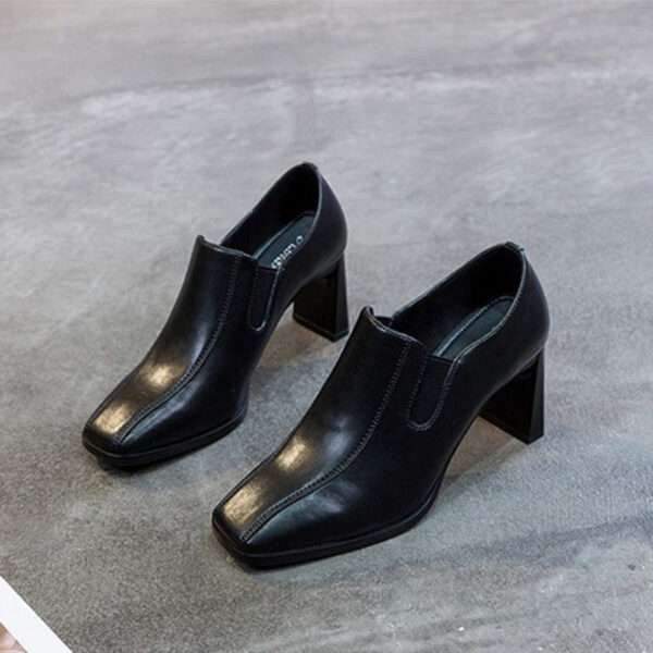 Women's chunky heeled single shoes, new spring style, Korean style, Style Shoes – RV2598