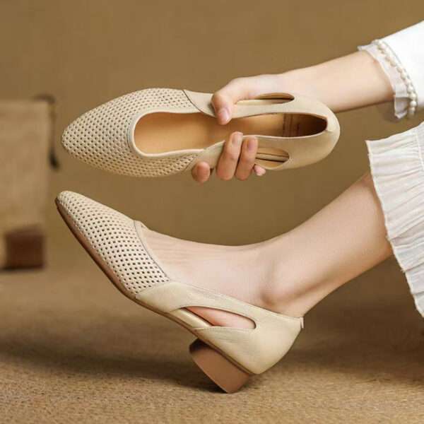 Women's Fashionable Soft Leather Pointed Toe, Box Heel – RV1543