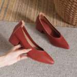 Chunky Heel, Pointed Toe, Women's Mid-Heel, Style Shoes – RV2576 - Image 2