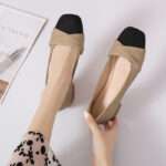 Women's Elegant and Versatile Soft Sole Chunky Heel Comfortable Style Shoes – RV2587