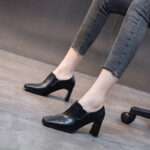 Women's chunky heeled single shoes, new spring style, Korean style, Style Shoes – RV2598 - Image 3